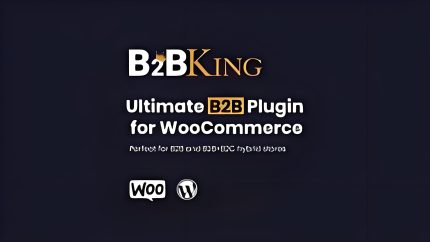 B2BKing Pro