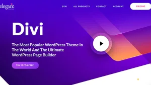 Divi Theme
