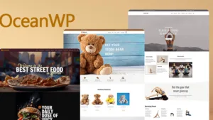 OceanWP Pro
